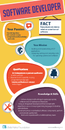 Software Developer